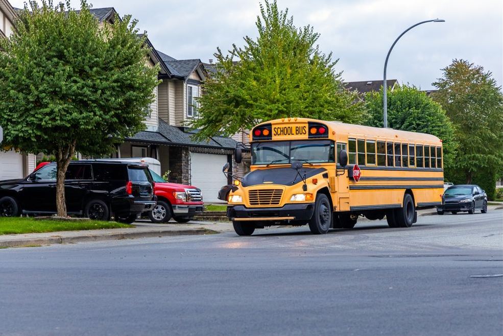 Yellow school bus driving down a residential street with parked cars and green trees nearby