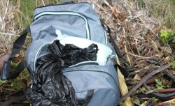 Blue backpack on the ground with black and white garbage bags sticking out, in a grassy, outdoor area with leaves and debris nearby.