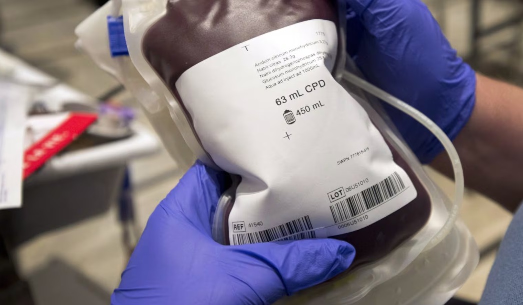 Medical professional in blue gloves holding a blood bag with a labeled label and tubing, preparing for transfusion.