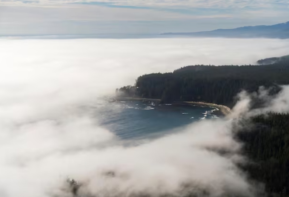 Aerial view of a fog-covered coastline with forested cliffs and a rocky beach along the water's edge, seen from above in soft light.