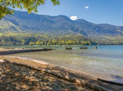 Shore of a clear lake with pebbled beach and fallen logs, calm turquoise water, forested hills, and mountains in the background under a blue sky.
