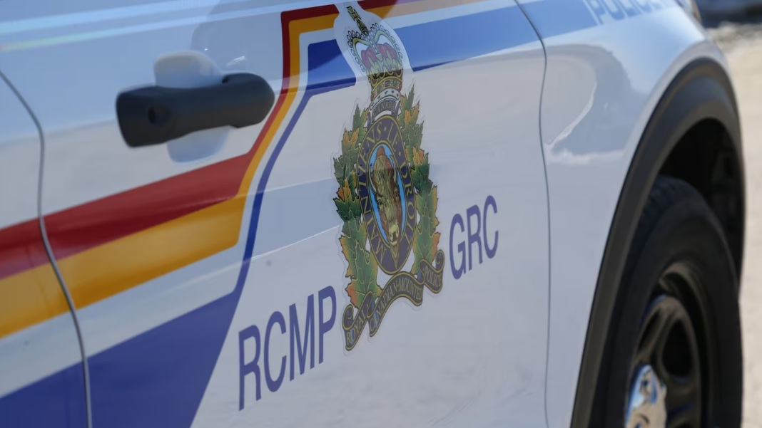 подросток за рулем авто | Наш Ванкувер RCMP police car with crest and colorful stripes on the door