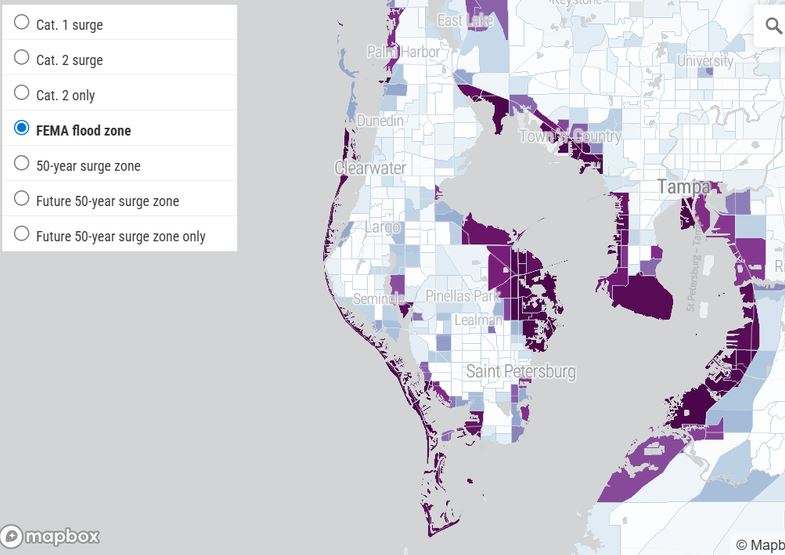 Interactive map showing FEMA flood zones and surge zones around the Tampa Bay area; purple and light-blue areas denote different flood designations, with a left panel legend listing surge categories.