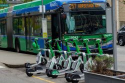 City bus at a stop with a row of lime-colored Lime electric scooters parked in front on a curbside downtown street.