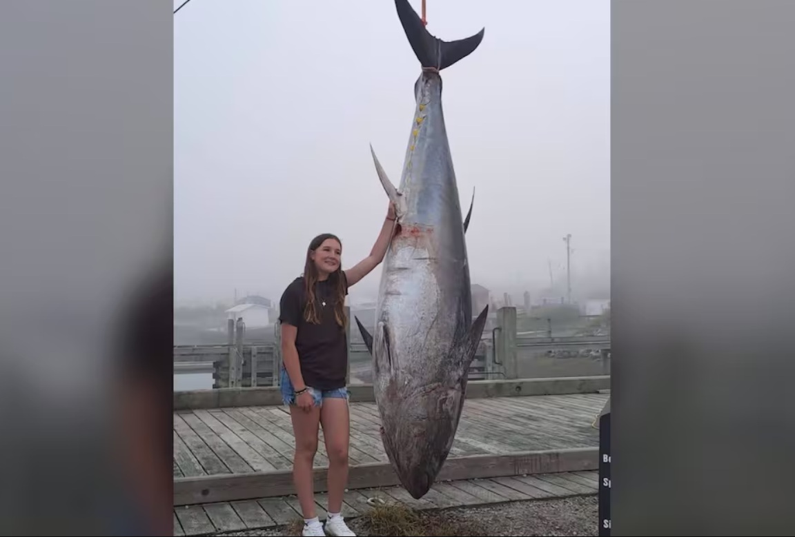 Young girl posing beside a massive suspended tuna on a dock, smiling at the camera.
