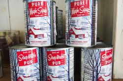 Four cans of Pure Maple Syrup with red label and snowy forest scene on a wooden shelf.