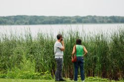Two people stand by a lake behind tall reeds, engaged in a conversation by the water.