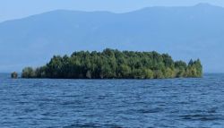 Small forested island in a calm blue lake with a distant mountain range in the background.