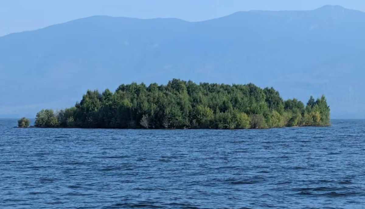 Small forested island in a calm blue lake with a distant mountain range in the background.