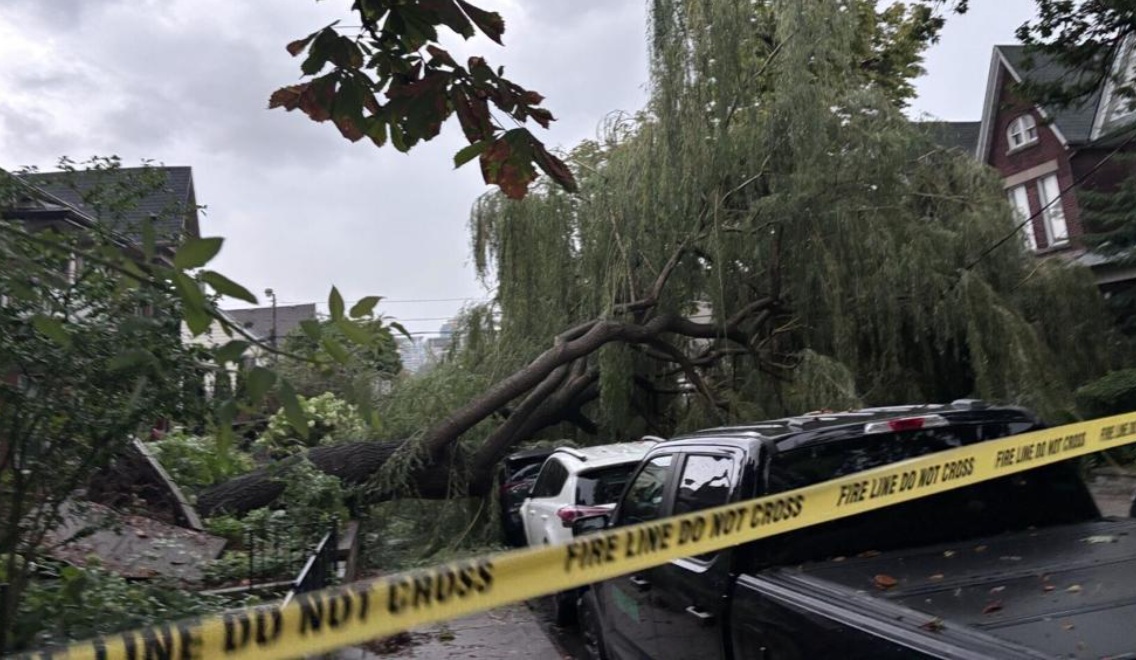 Fallen tree resting on parked cars with police/fire tape reading 'Do Not Cross' across the street, emergency scene outdoors in a residential area