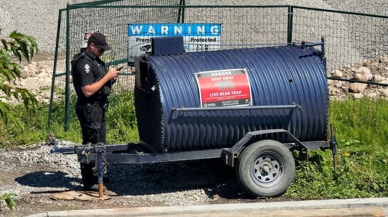 Officer inspecting a large blue cylindrical live bear trap mounted on a trailer with warning signs nearby.