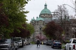 Street view toward a historic stone capitol building with green copper domes framed by trees; cars parked along both sides and a person crossing the road in the foreground.