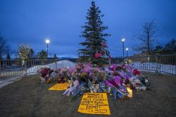 Memorial site with a central evergreen, flowers, teddy bears, candles, and handwritten signs at dusk/fading light on a barriered plaza.