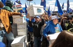 Crowd of protesters at an Alberta independence rally, many blue flags, with people lifting and stacking white storage boxes.