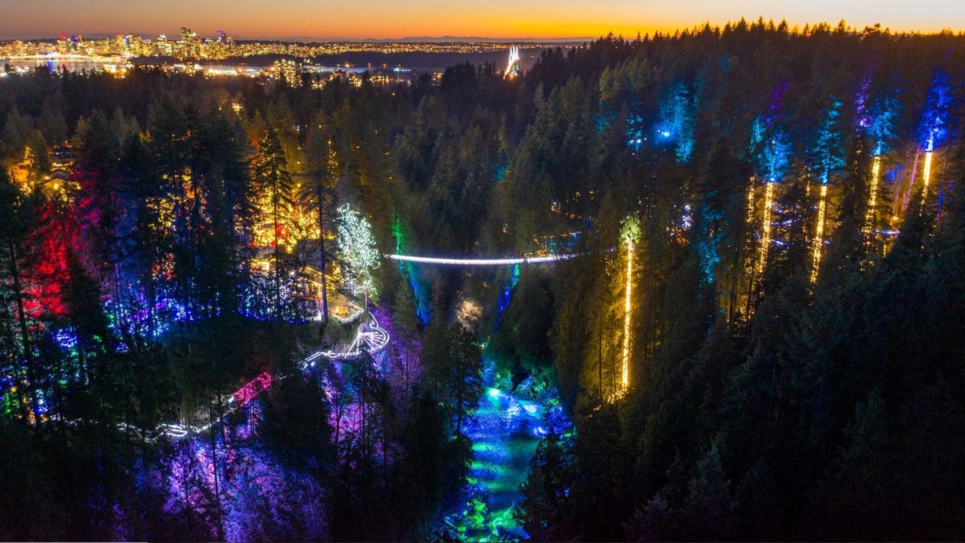 A densely forested hillside lit with colorful outdoor lights and a city skyline at sunset in the distance.