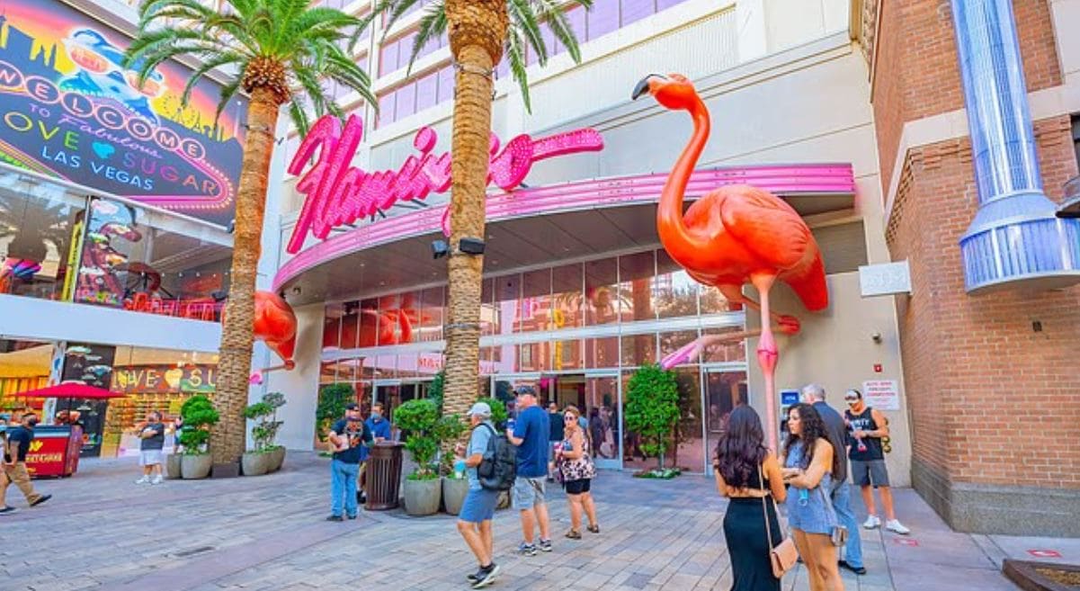 Фламинго в Канаде | Наш Ванкувер People walk outside a colorful casino entrance with a large pink Flamingo statue and palm trees in Las Vegas.