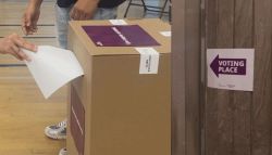 Person casts a ballot into a cardboard voting box inside a polling area; a 'Voting Place' sign is on a wooden wall nearby.