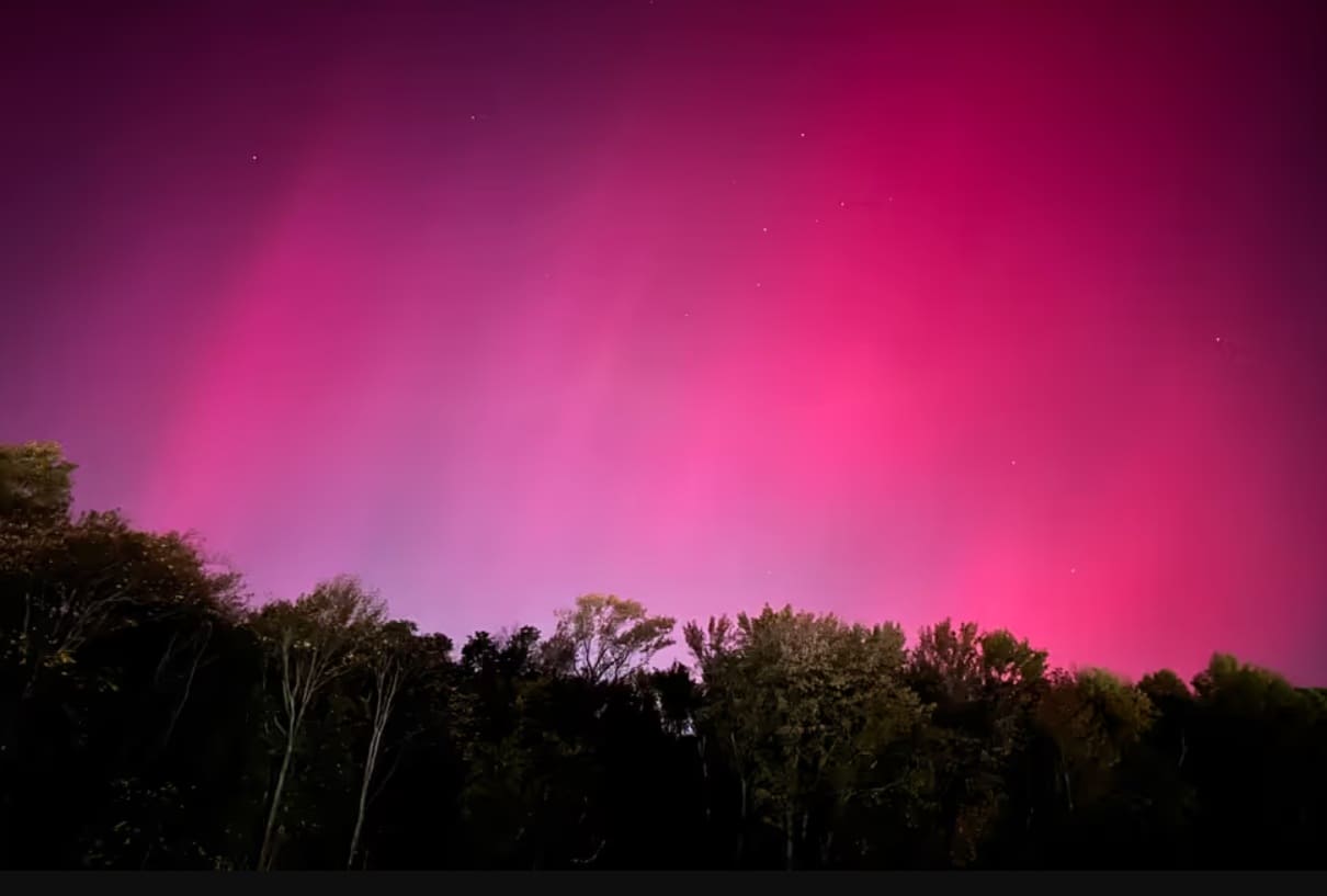 розовое северное сияние канада | Наш Ванкувер Night sky with a vivid pink aurora glowing above a dark treeline.