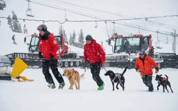 Three people in bright red jackets walk three leashed dogs across a snowy ski slope, with a chairlift and snow equipment in the background.