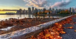 Sunset over a city skyline viewed from a rocky shoreline with orange autumn leaves along a stone seawall.