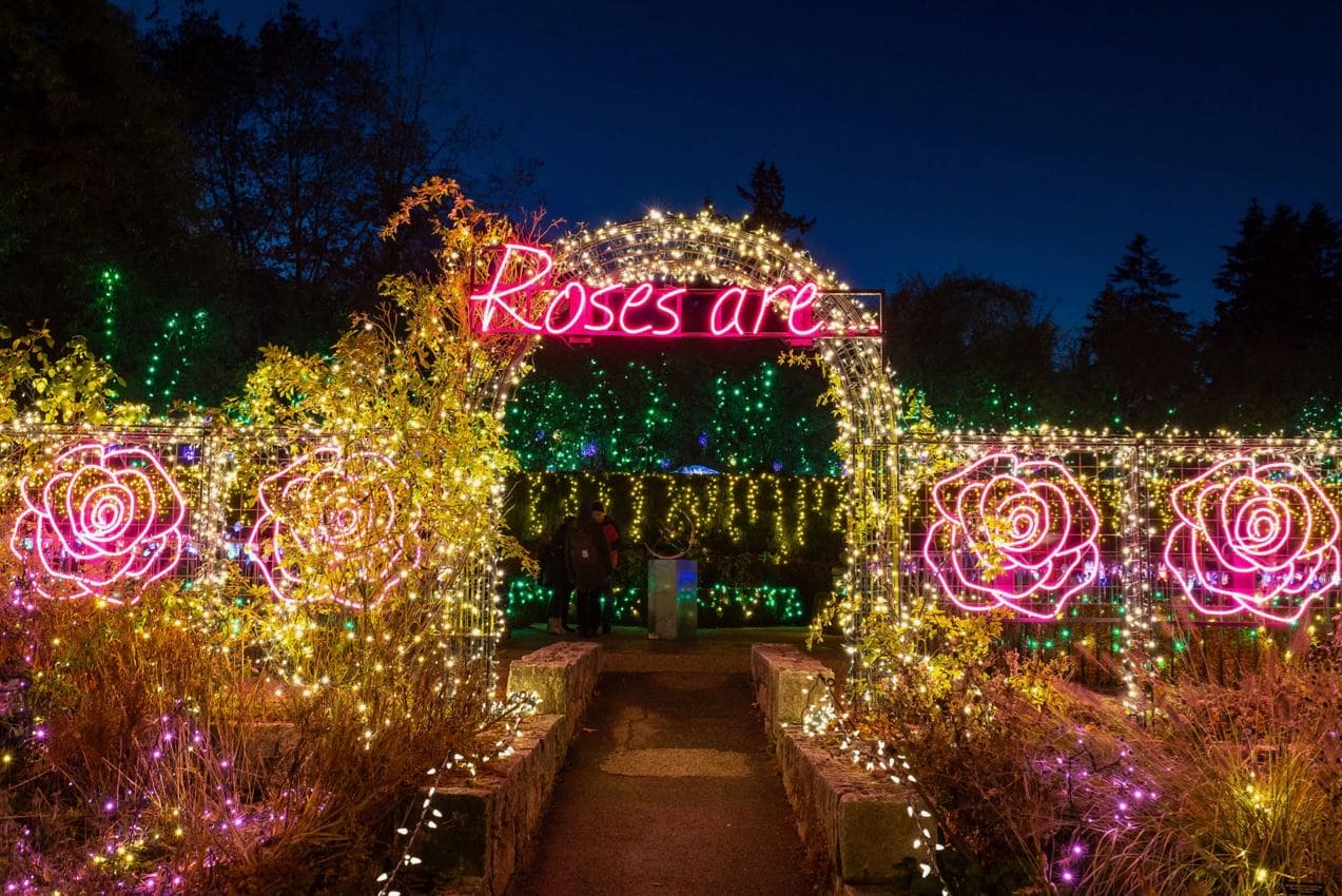 Night garden path adorned with twinkling lights and a neon pink 'Roses are' sign over a circular arch, with glowing rose outlines along the sides at dusk/dawn.